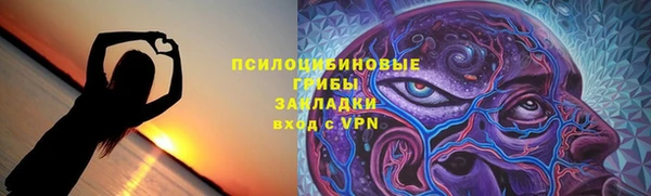 хмурый Богородицк