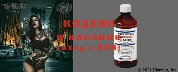 хмурый Богородицк
