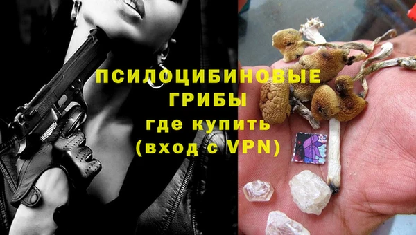 хмурый Богородицк