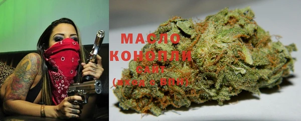 хмурый Богородицк
